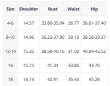 Load image into Gallery viewer, Deep V-Neck Halter Neck Backless Tankini - A Mama's Lullaby